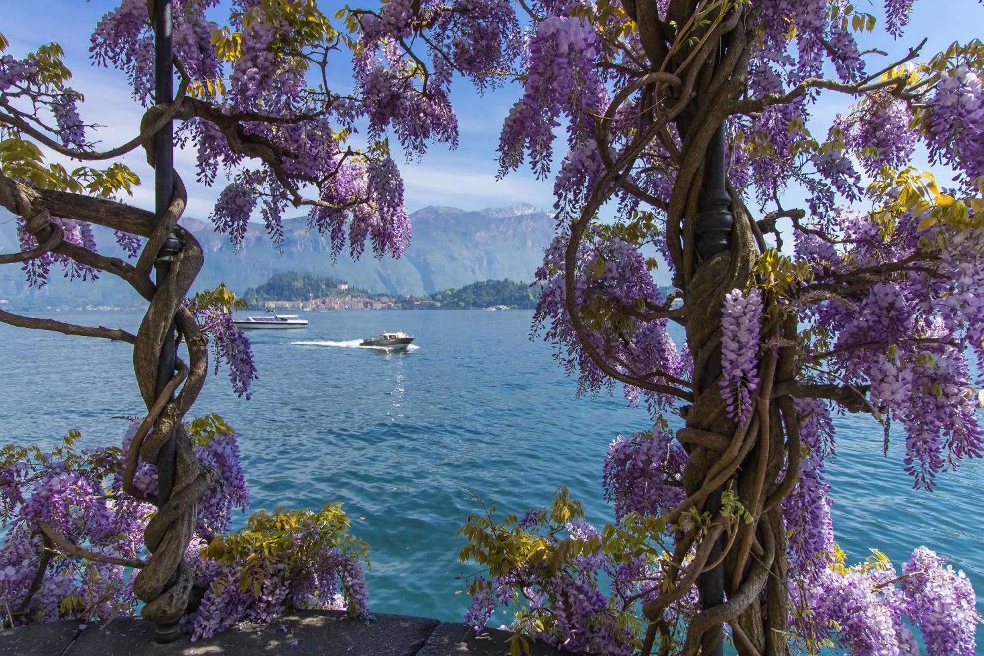 Belvedere Mansarda Tremezzo Luaran gambar